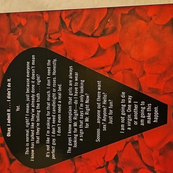 Virgin By Radhira Sanghani 2014 Home Accents Cofffe Table Books shelf decor - Picture 5 of 13